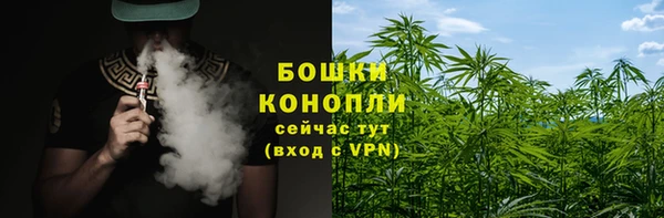 дживик Болотное