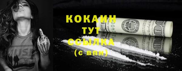 сатива Болхов