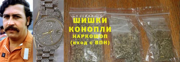 дживик Болотное