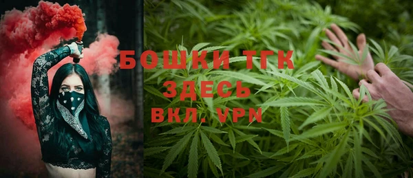 дживик Болотное
