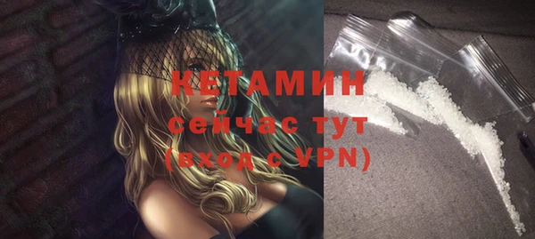 сатива Болхов
