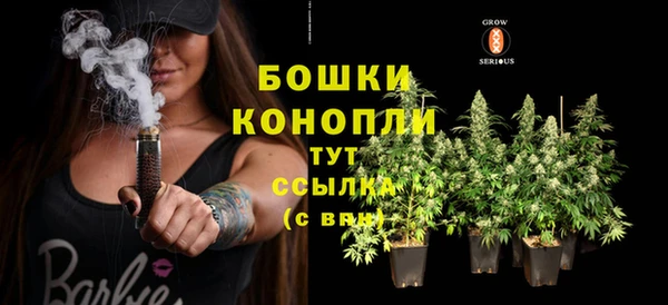 сатива Болхов