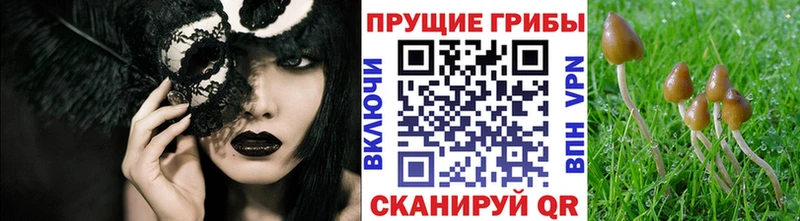 Псилоцибиновые грибы прущие грибы  Инсар 